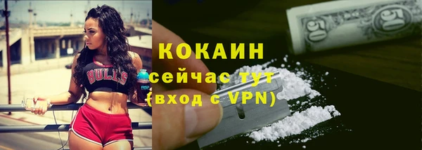 крисы Покровск