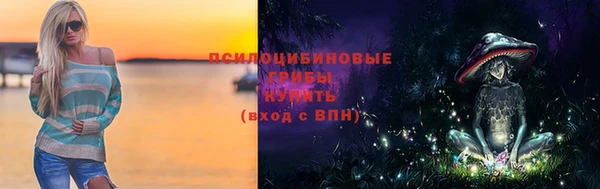 крисы Покровск