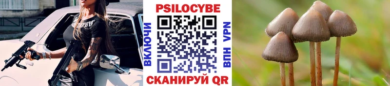 где купить наркотик  Хилок  Галлюциногенные грибы мухоморы 